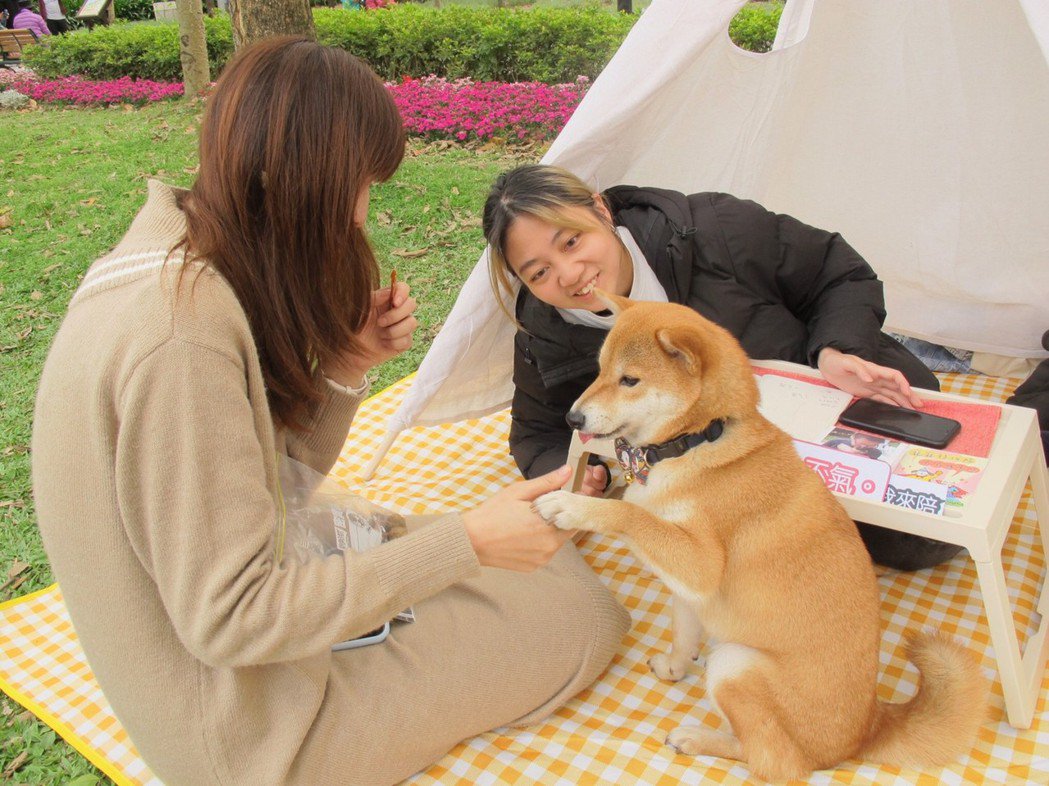 【媒體報導】毛小孩想什麼？確認鍵網路行銷與世新公廣策辦免費「寵物溝通體驗會」